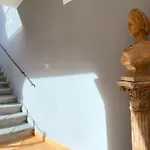 Zara Palace *