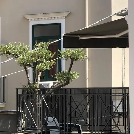 Zara Palace *